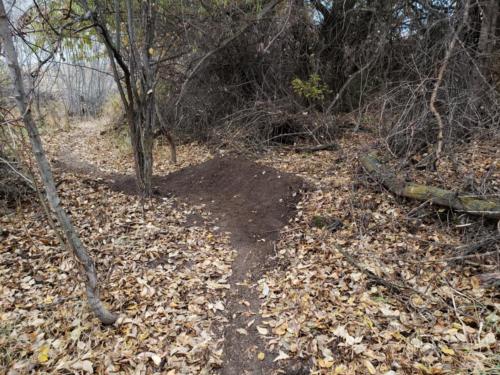  Goalpost Berm